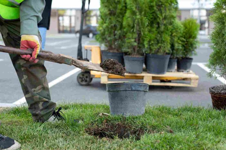 a-uniformed-worker-digs-a-hole-with-a-shovel-to-pl-2026-01-09-10-01-29-utc_11zon