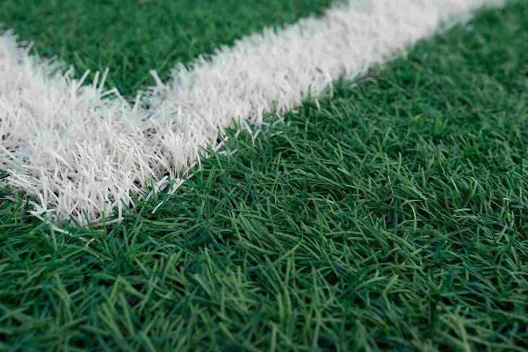 football-field-lawn-background-with-lines-2026-01-05-23-00-08-utc_11zon