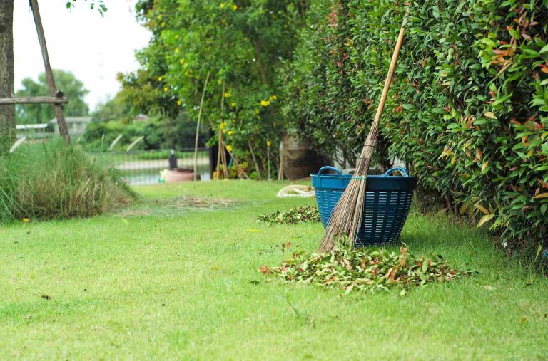 gardening-work-at-the-backyard-of-house-2026-01-06-09-08-55-utc_11zon